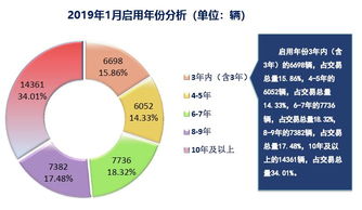 199it 互联网数据资讯中心与专业数据服务解析