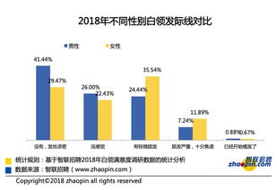 199it 互联网数据资讯中心的专业数据服务解析